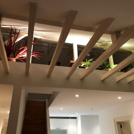 Botanic Views Guest House 리스본 외부 사진